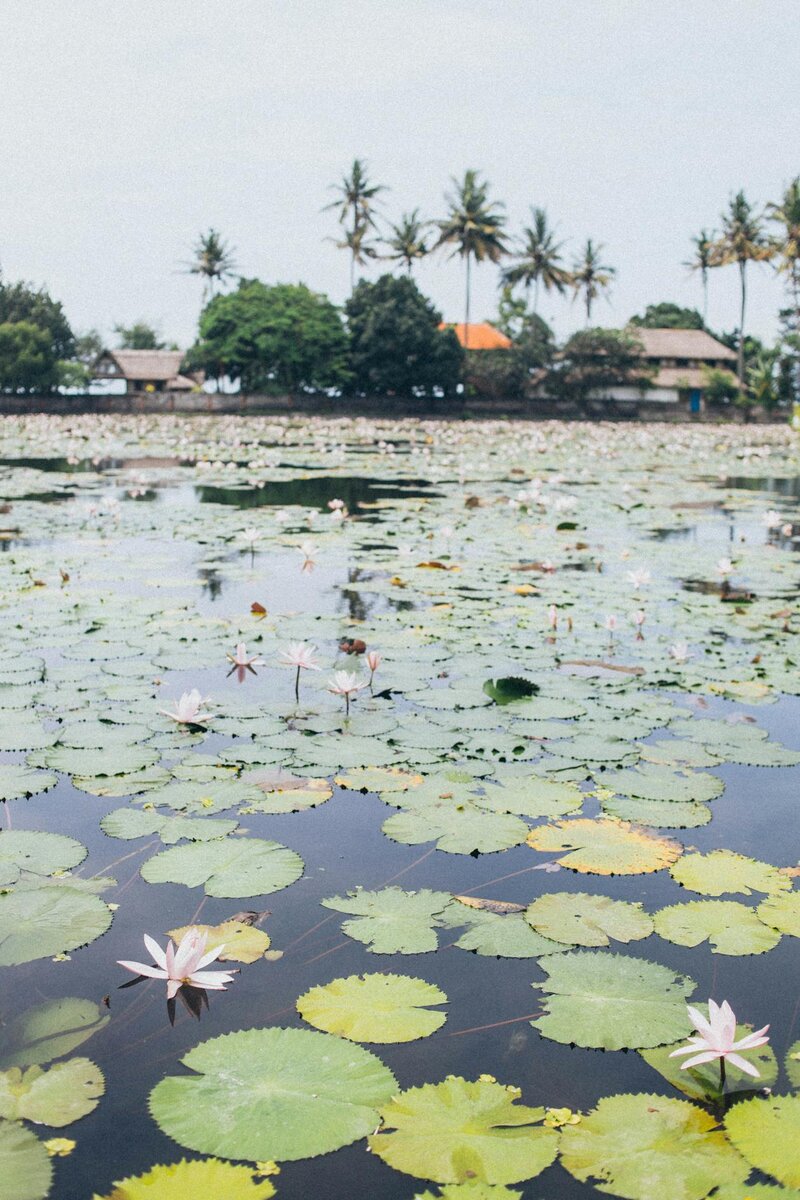Night sky constellations representing Lakshmi Yoga