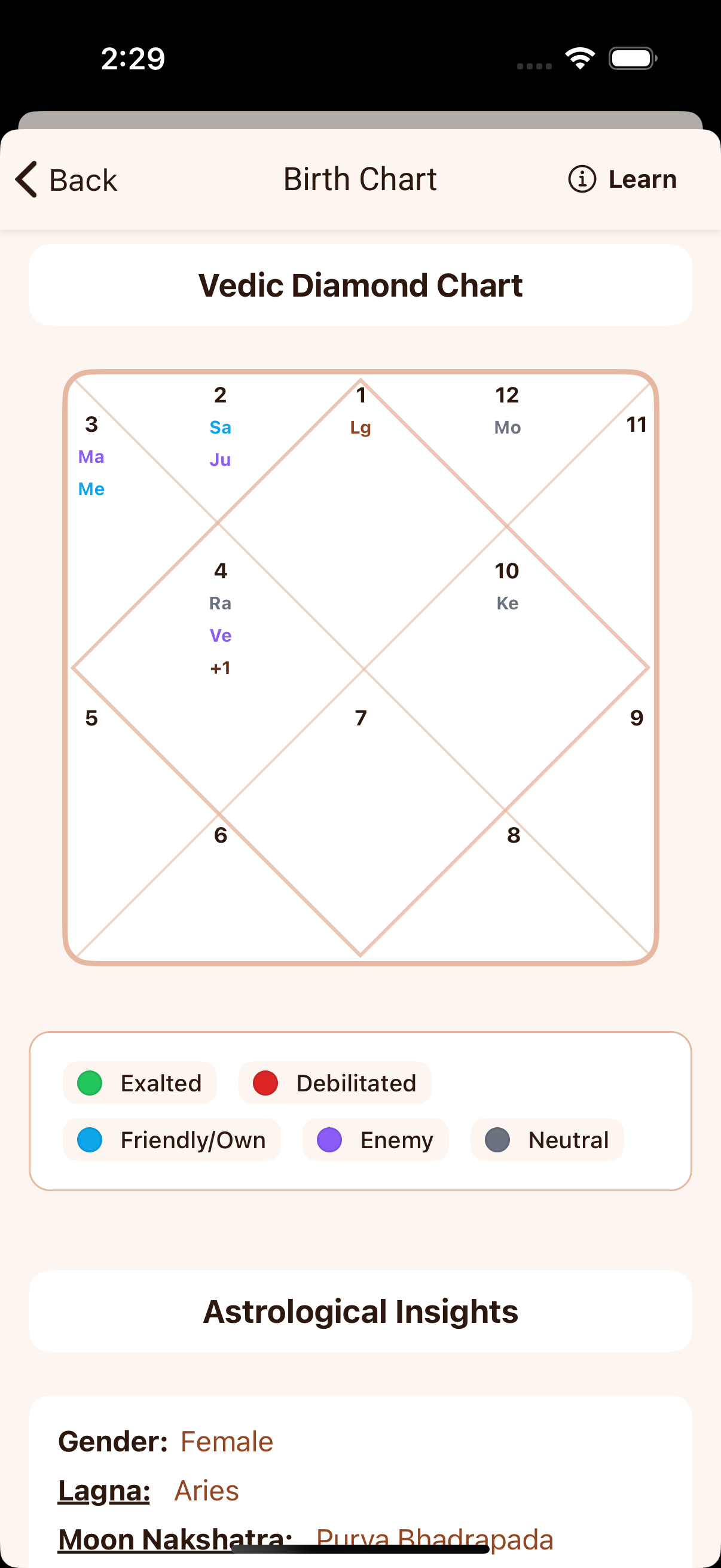 Om.AI Birth Chart